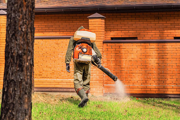 Trusted Termite Control service in Winchester, OH - Nex Pest Control